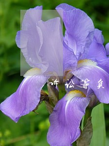 诉讼等负面因素太多 诉讼等负面因素太多