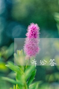 诉讼答辩是什么意思
