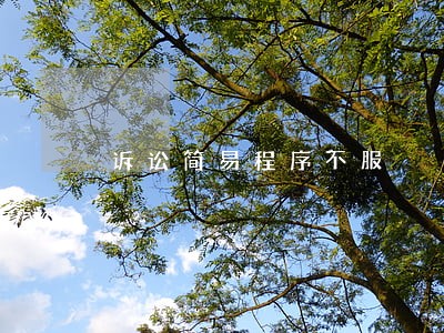 诉讼简易程序不服 诉讼简易程序不服