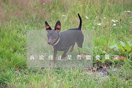 诉讼终止是否需要裁定 诉讼终止是否需要裁定