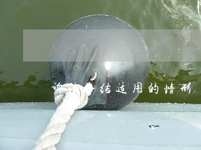 诉讼终结适用的情形