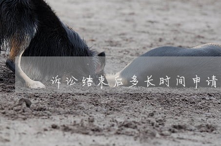 诉讼结束后多长时间申请执行