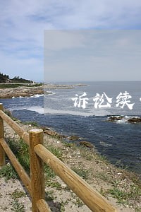 诉讼续保申请书 诉讼续保申请书