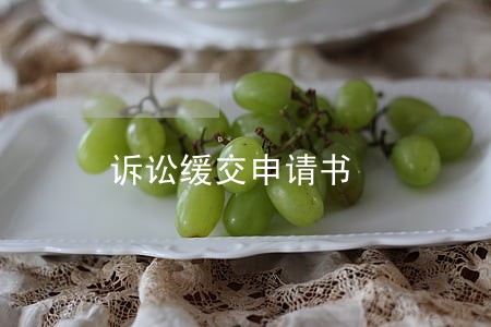 诉讼缓交申请书 诉讼缓交申请书
