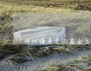 诉讼缠身受证监会立案调查 诉讼缠身受证监会立案调查
