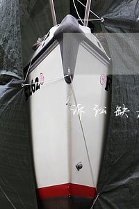 诉讼缺诚信 诉讼缺诚信