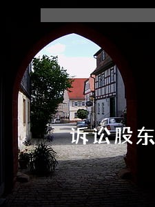 诉讼股东一致同意 诉讼股东一致同意