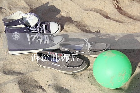 诉讼胜诉后