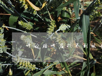 诉讼胜诉后找不到被告 诉讼胜诉后找不到被告
