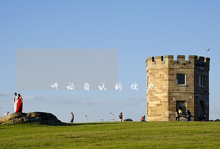 诉讼自认的效力