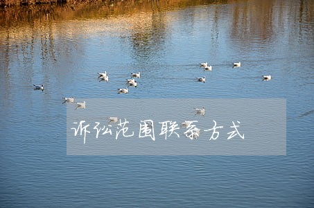 诉讼范围联系方式 诉讼范围联系方式