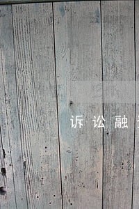 诉讼融资青岛