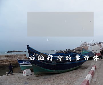 诉讼行为的要件体系及其评价
