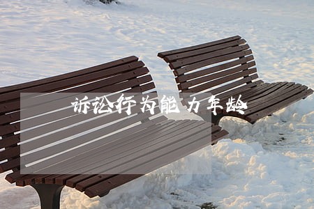 诉讼行为能力年龄 诉讼行为能力年龄
