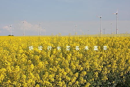 诉讼行长签名未盖章 诉讼行长签名未盖章
