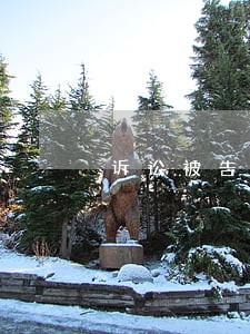 诉讼被告破产担保 诉讼被告破产担保
