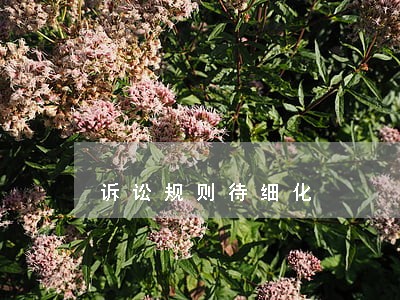 诉讼规则待细化 诉讼规则待细化