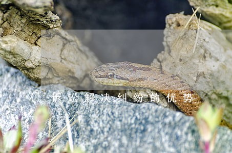 诉讼解决纠纷的优势 诉讼解决纠纷的优势