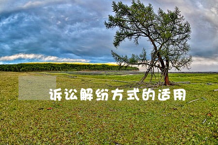 诉讼解纷方式的适用 诉讼解纷方式的适用