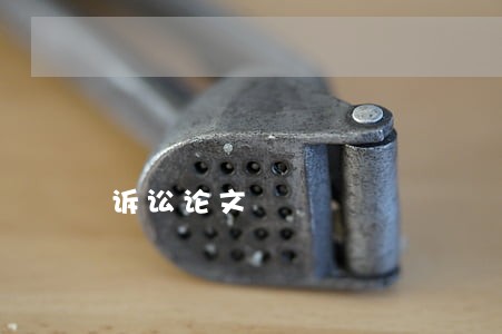 诉讼论文