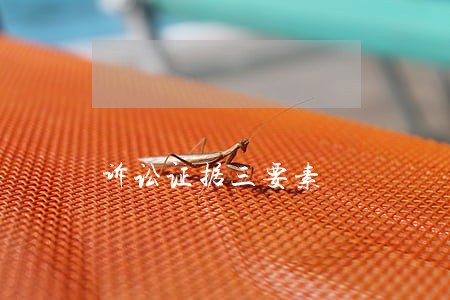 诉讼证据三要素 诉讼证据三要素