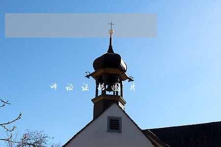 诉讼证据图片