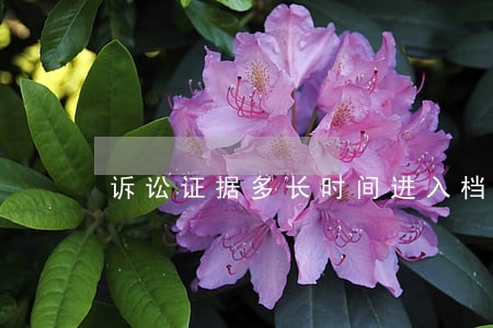 诉讼证据多长时间进入档案室 诉讼证据多长时间进入档案室
