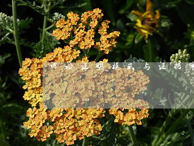 诉讼证明模式与证据审查评断 诉讼证明模式与证据审查评断