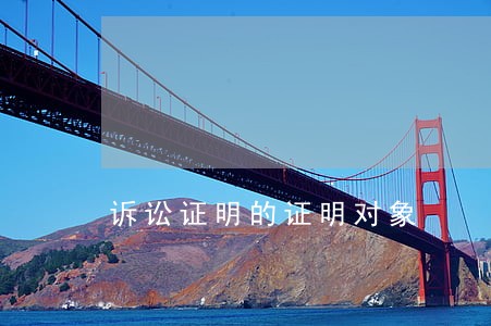 诉讼证明的证明对象 诉讼证明的证明对象