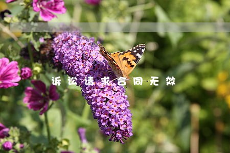 诉讼请求合同无效 诉讼请求合同无效