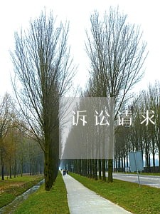 诉讼请求无法履行