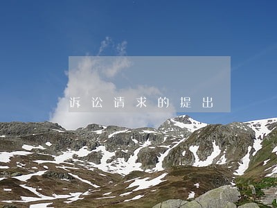 诉讼请求的提出 诉讼请求的提出