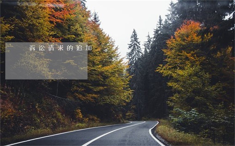 诉讼请求的追加