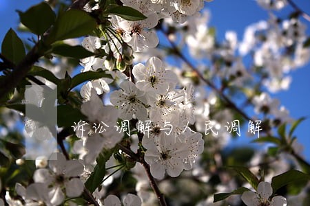 诉讼调解与人民调解 诉讼调解与人民调解