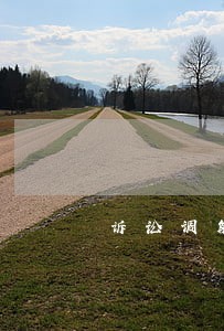 诉讼调解公告 诉讼调解公告