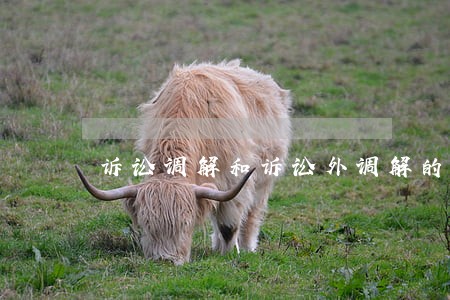 诉讼调解和诉讼外调解的区别