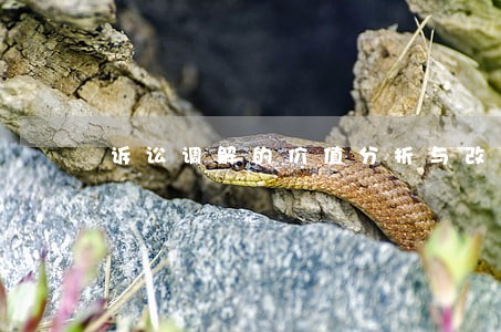 诉讼调解的价值分析与改革构想