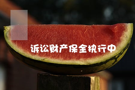 诉讼财产保全执行中 诉讼财产保全执行中