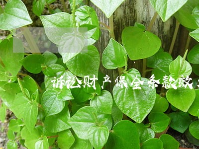 诉讼财产保全条款效力问题 诉讼财产保全条款效力问题