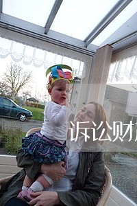 诉讼财产保全的现金担保 诉讼财产保全的现金担保