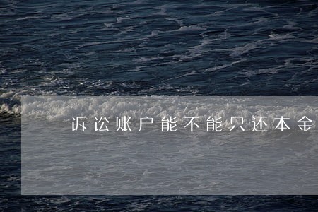 诉讼账户能不能只还本金 诉讼账户能不能只还本金