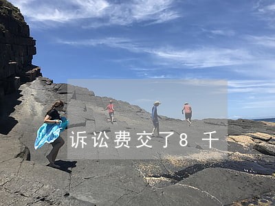 诉讼费交了8千