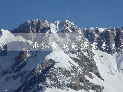 诉讼费减免缓需要交什么证明