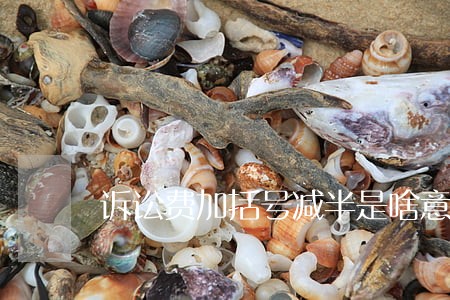 诉讼费加括号减半是啥意思 诉讼费加括号减半是啥意思