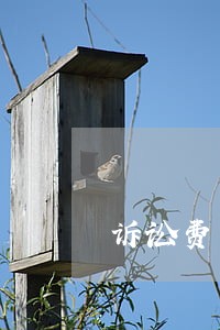 诉讼费单据丢了怎么办