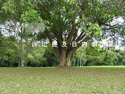 诉讼费及日内缴纳 诉讼费及日内缴纳
