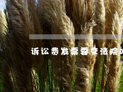 诉讼费发票要交法院吗 诉讼费发票要交法院吗