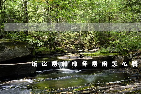 诉讼费和律师费用怎么算 诉讼费和律师费用怎么算