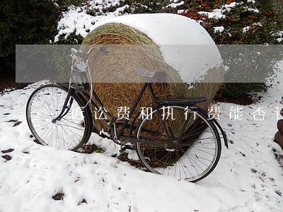 诉讼费和执行费能否计算利息 诉讼费和执行费能否计算利息