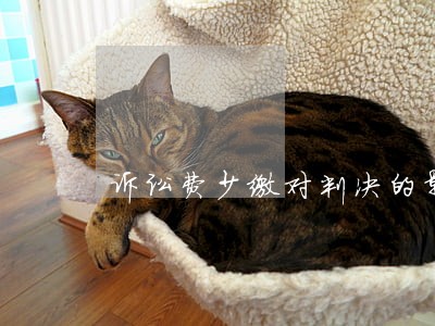 诉讼费少缴对判决的影响 诉讼费少缴对判决的影响